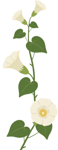 white flower
